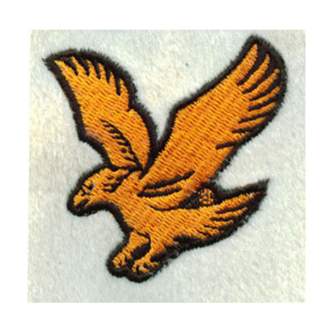 Good quality 3d Logo Embroidery Patches - eagle-splash – Printemb
