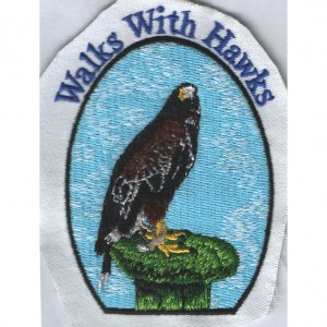 factory low price Mini Funny Embroidery Patches - walks with hawks – Printemb