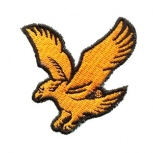 custom kids eagle splash embroidered patches