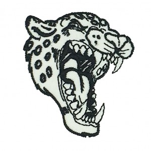 heat seal  patch embroidery digitizing