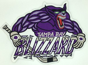 custom made blizzard tampa bay logo embroidery patch