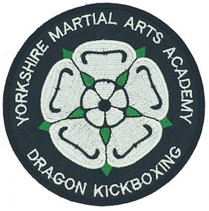 Custom made dragon kickboxing logo embroidery patch