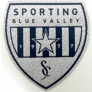 custom made high quality sportion woven patch