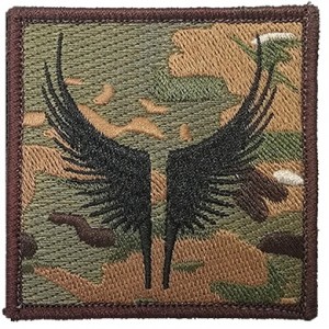 custom made embroidery team-wings patch